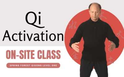 Qi Activation 2024 – doe jij mee?